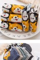 skarpetki shiba.jpg