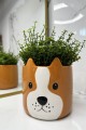 doniczka pies.jpg
