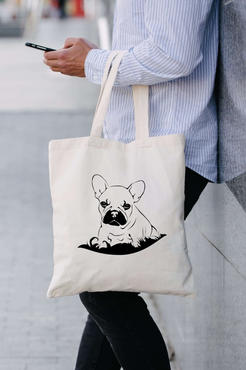 BuldogFRmodeltorba2-min (1).jpg