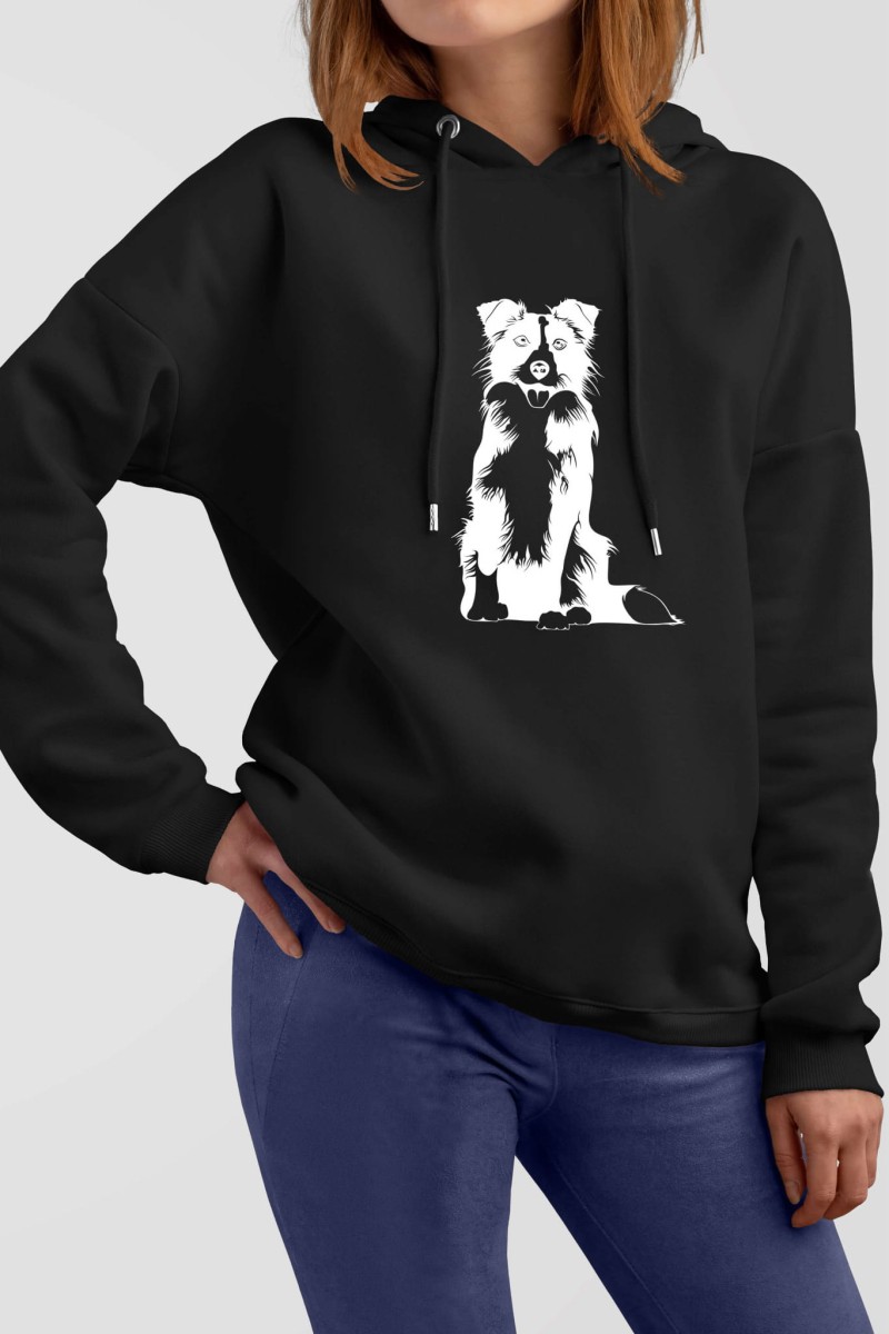 bordercollie2bluzamodel.jpg