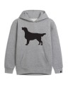 Flat-Coated Retrieverbluzaszarapsiunio.jpg