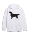 Flat-Coated Retrieverbluzabialapsiunio.jpg