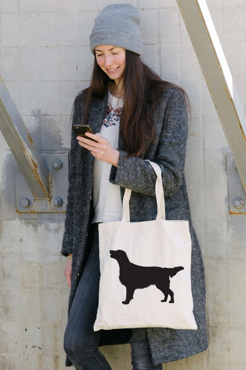 Flat-Coated Retrievermodeltorba.jpg