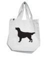 Flat-Coated Retrievertorbabiala.jpg