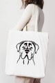 CaneCorsotorbamodel.jpg