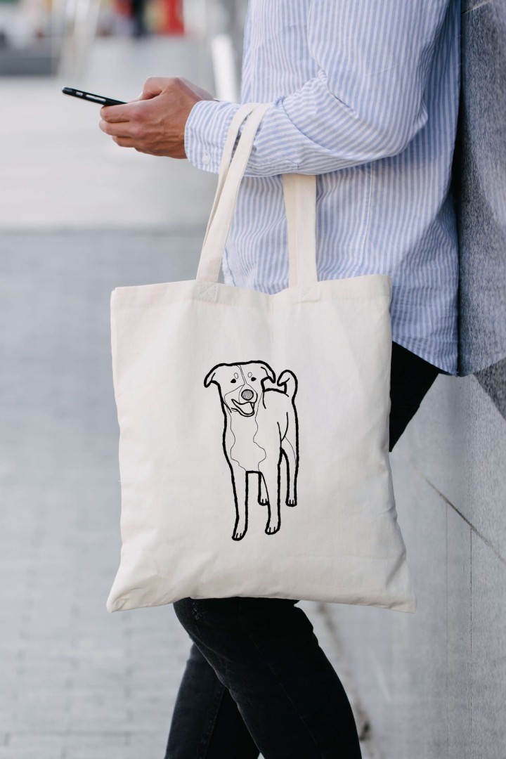 Tasche Appenzeller