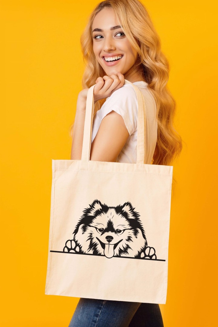 Pommersche Tasche