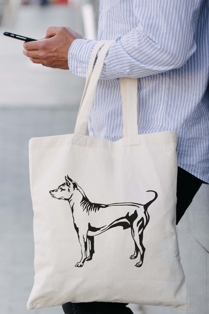 Tasche Thai Ridgeback