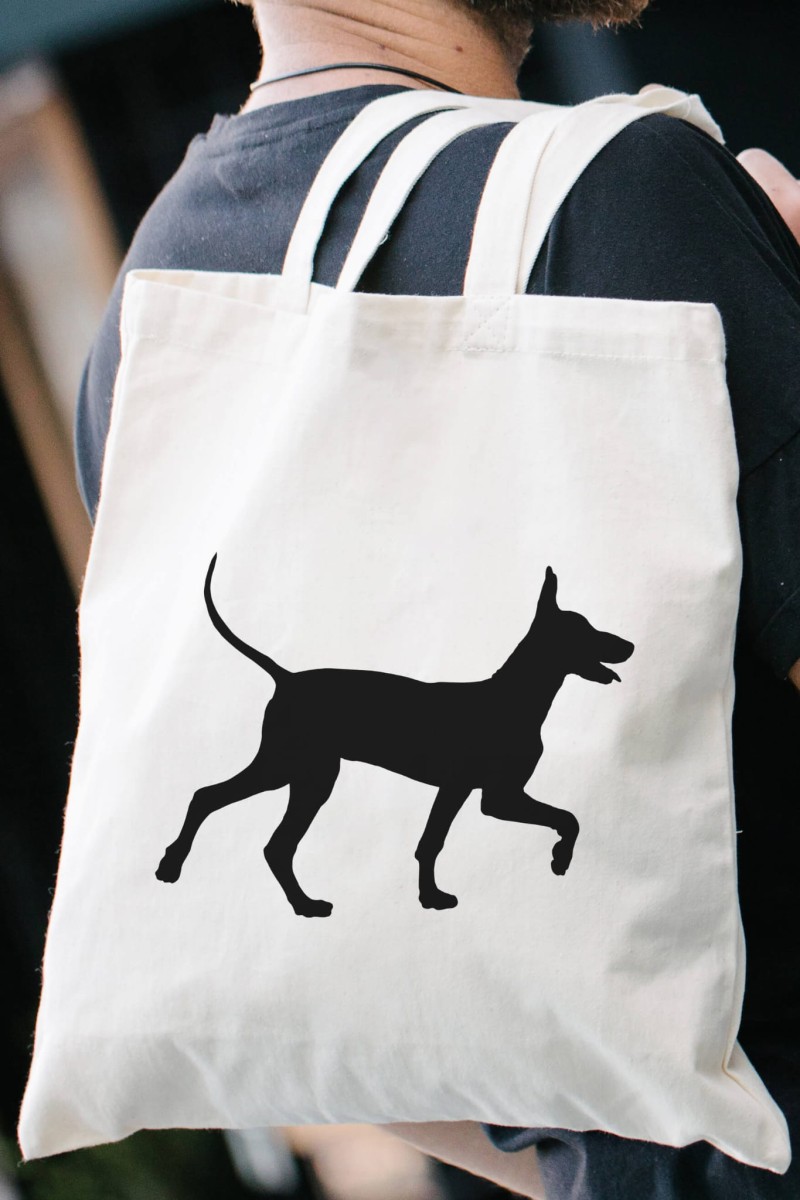 Xoloitzcuintlemodeltorba.jpg