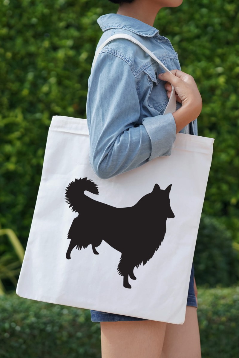 torba lassie model.jpg