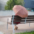 umbrella-puppymbrella-brown-nylon-27826C.jpg