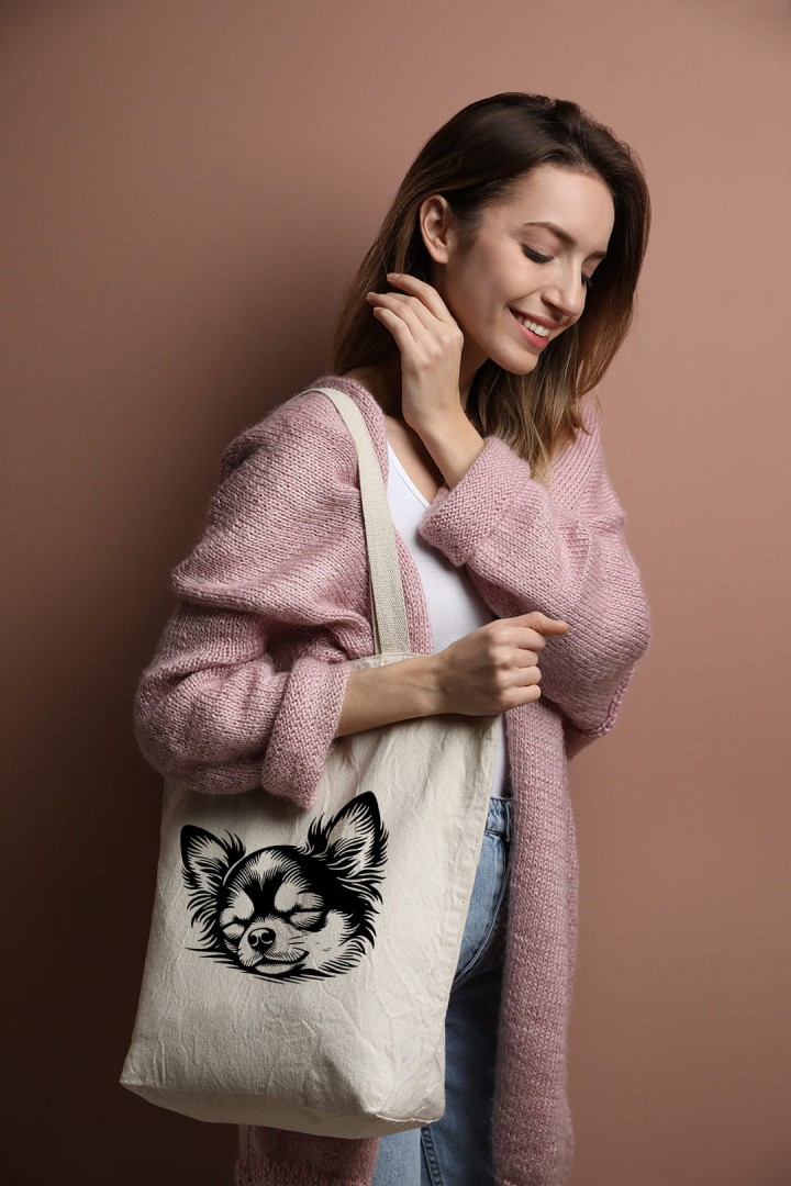 Tasche mit schlafendem Chihuahua