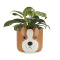 flower-pot-woof-brown-ceramic-27679.jpg